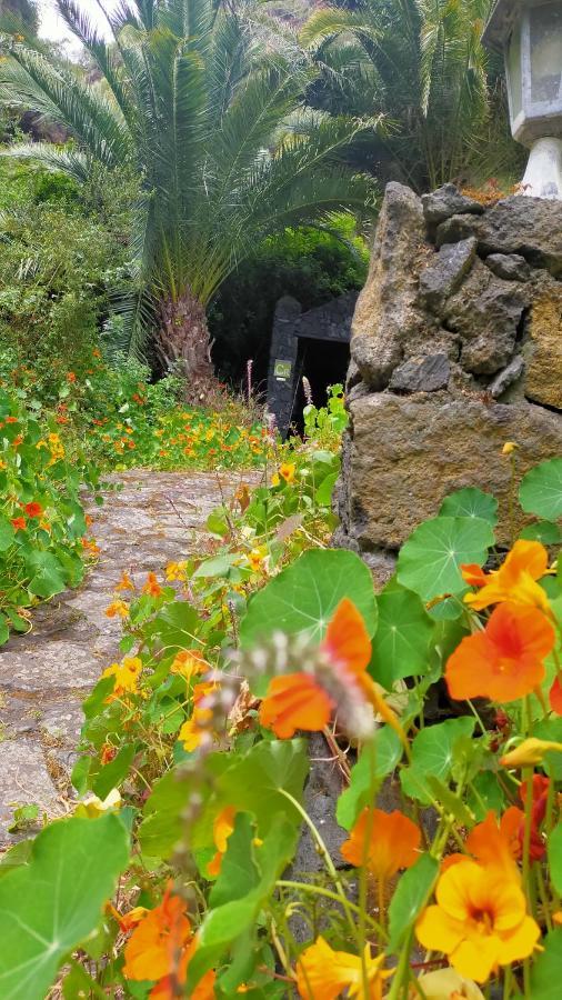 Appartamento Molino Remanente Santa Cruz de la Palma  Esterno foto