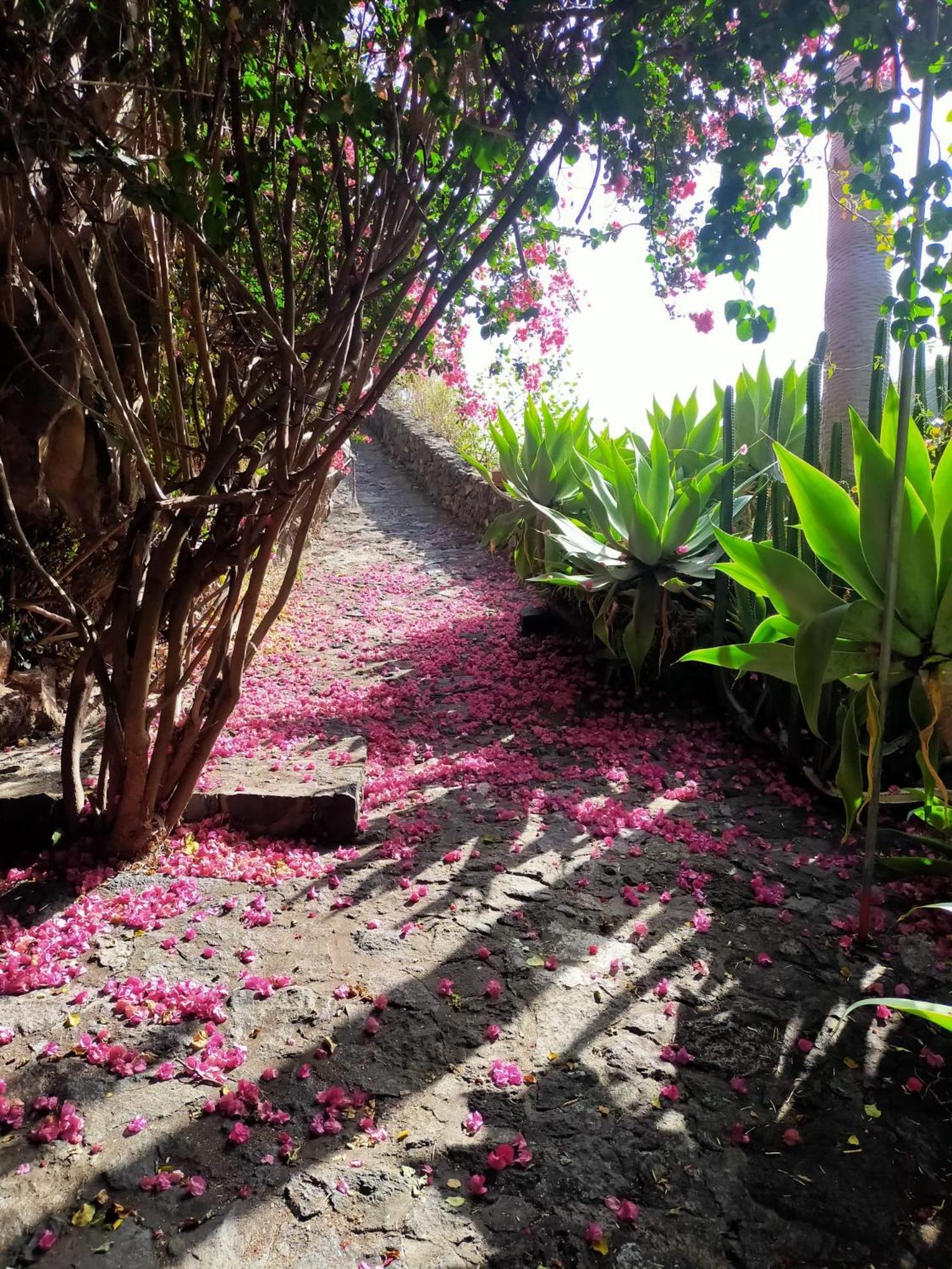 Appartamento Molino Remanente Santa Cruz de la Palma  Esterno foto